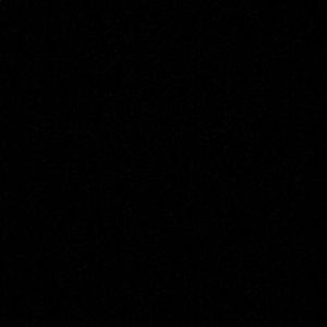 Meet your Posher, Donisha